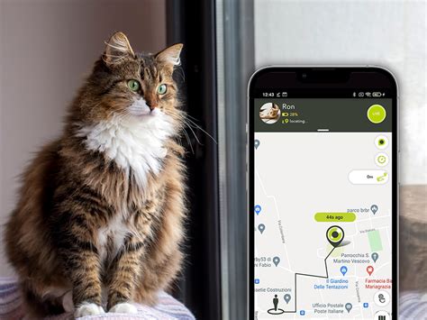 cat tracker with no subscription.